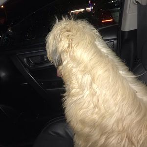 Meet your Posher, Barbara